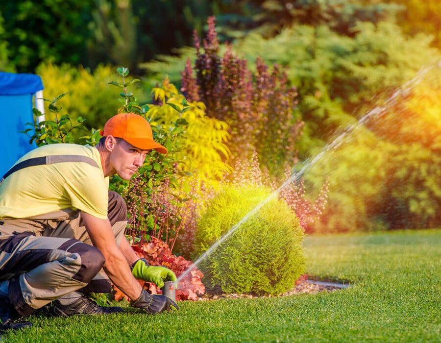 affordable lawn care services