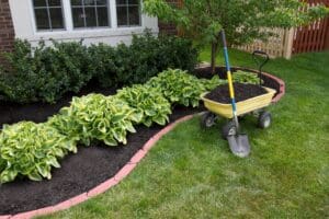 simple landscaping ideas