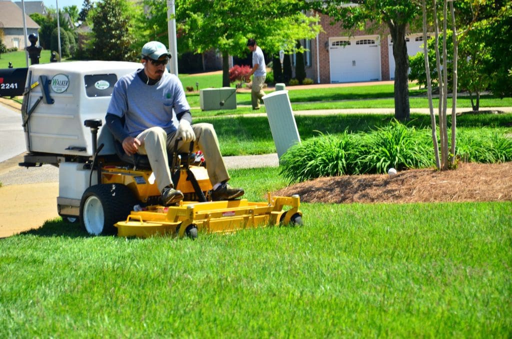 professional lawn care