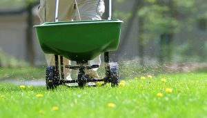 preparing your lawn for winter