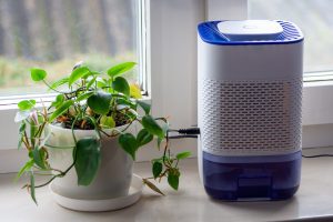 control humidity with a dehumidifier